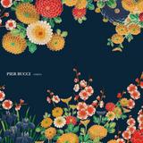 Pier Bucci - Amigo