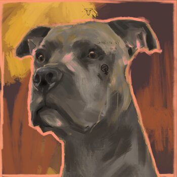 Pilz - Strassenköter Artwork