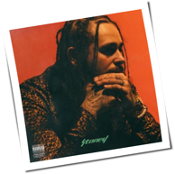 Post Malone - Stoney