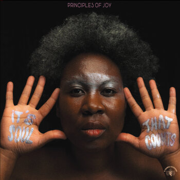 Principles Of Joy - It's Soul That Counts Artwork