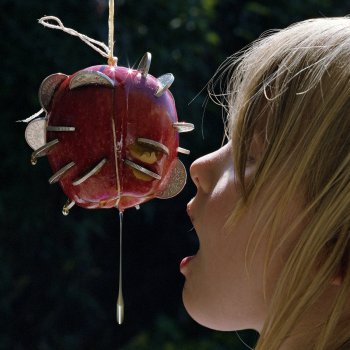 Puce Mary - The Drought Artwork