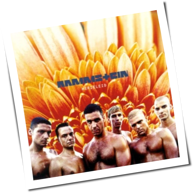 Rammstein - Herzeleid