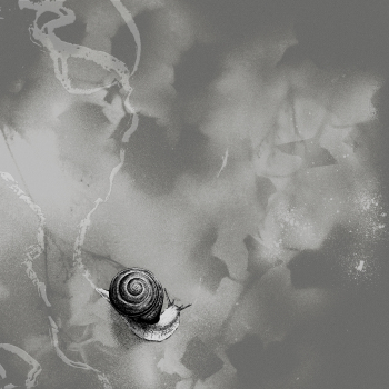 Rats On Rafts - Deep Below Artwork