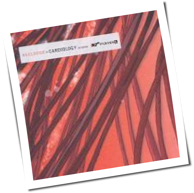 Recloose - Cardiology