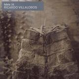 Ricardo Villalobos - Fabric 36