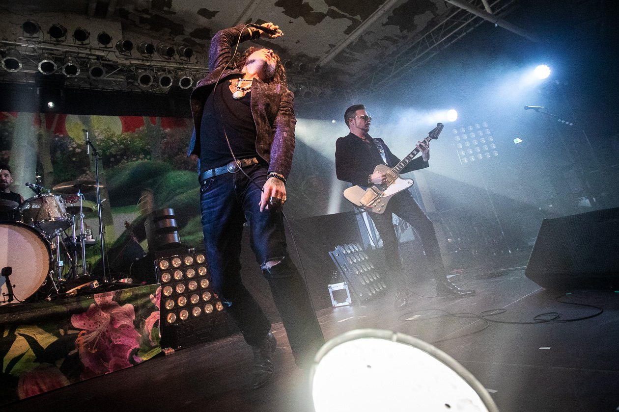 Mit der aktuellen Langrille "Feral Roots" in der Domstadt. – Rival Sons.