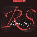Roni Size - Touching Down Artwork