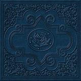 Ryan Adams - Cold Roses Artwork