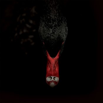 Sankt Otten - Männerfreundschaften Und Metaphysik Artwork