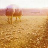 Savoy Grand - Accident Book