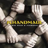 Schandmaul - Wie Pech Und Schwefel Artwork
