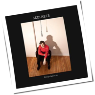 Sedlmeir - Singularität