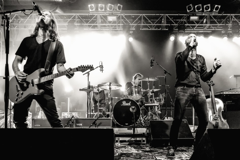 20 Jahre Rock'n'Roll. On stage. Wo sonst. – Selig.