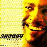Shaggy - Hotshot Artwork