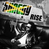 Shaggy - Rise Artwork
