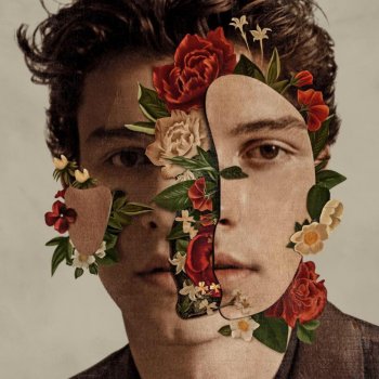 Shawn Mendes - Shawn Mendes Artwork