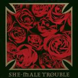 She-Male Trouble - Back From The Nitty Gritty Artwork