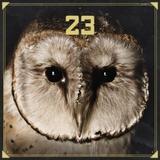 Sido & Bushido - 23 Artwork