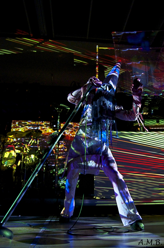 Genial durch Licht, Ton und Gestik in Szene gesetzt. – Skinny Puppy