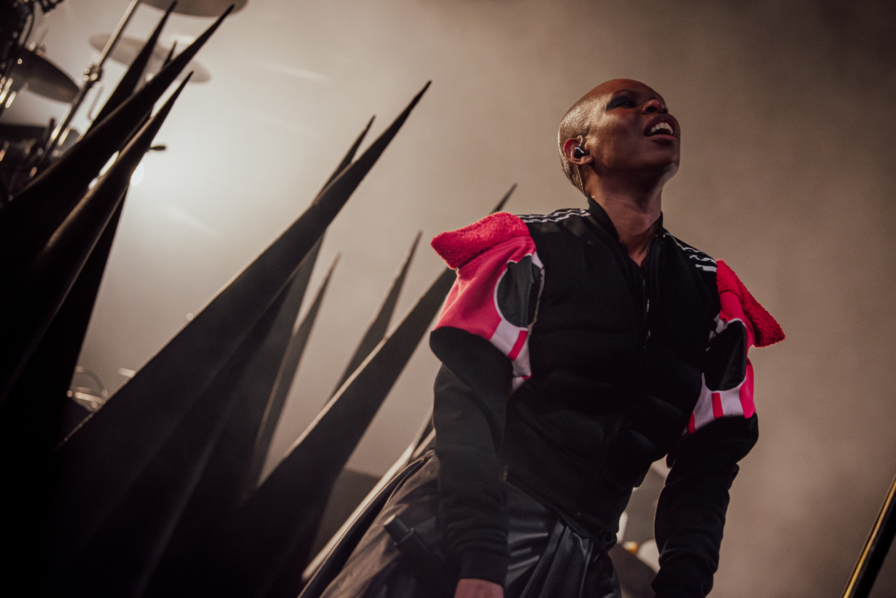 Skunk Anansie – Skunk Anansie.
