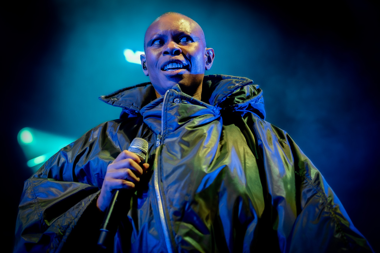 Skunk Anansie – Skin.