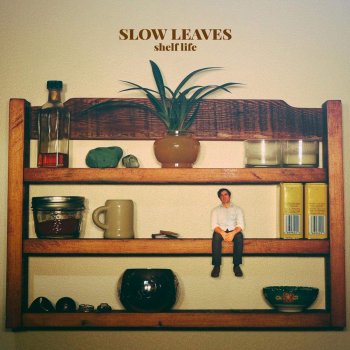 Slow Leaves - Shelf Life Artwork