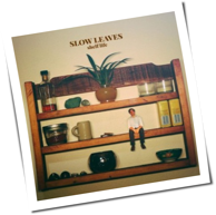 Slow Leaves - Shelf Life