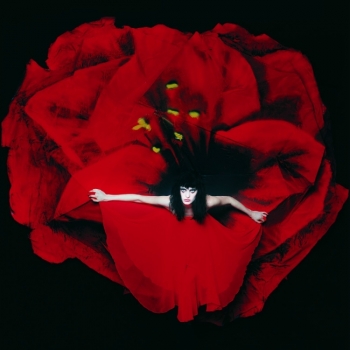 Smashing Pumpkins - Adore - Deluxe Boxset Artwork