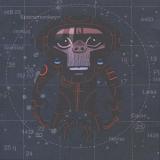 Spacemonkeyz versus Gorillaz - Laika Come Home Artwork