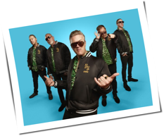 Spike And The Gimme Gimmes