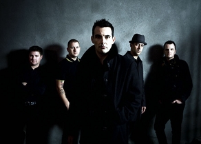 Street Dogs