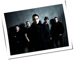 Street Dogs