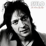 Sulo - Just Another Guy Tryin Artwork