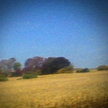 Sun Kil Moon - Benji Artwork