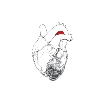 Swans - The Beggar Artwork