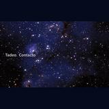Tadeo - Contacto