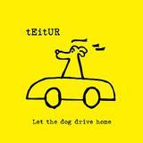 Teitur - Let The Dog Drive Home Artwork