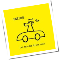 Teitur - Let The Dog Drive Home