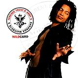 Terence Trent D'Arby - Sananda Maitreya's Wildcard