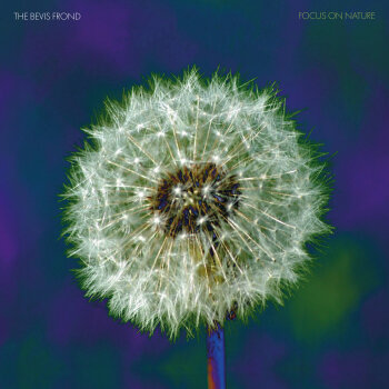 The Bevis Frond - Focus On Nature Artwork