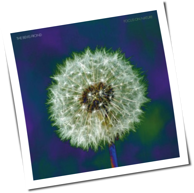 The Bevis Frond - Focus On Nature