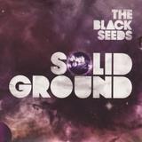 The Black Seeds - Solid Ground