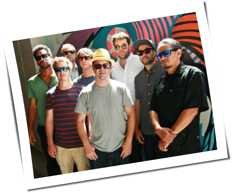 The Black Seeds