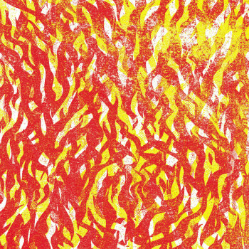 The Bug - Fire Artwork