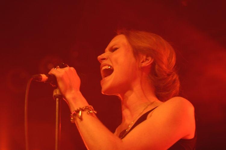 The Cardigans – 