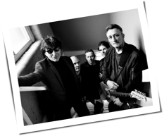 The Chameleons
