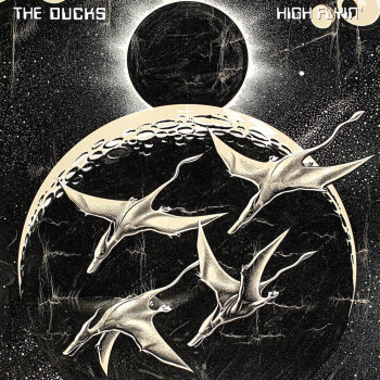 The Ducks - High Flyin' Artwork