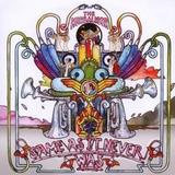 The Herbaliser - Same As It Never Was Artwork