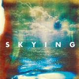 The Horrors - Skying Artwork
