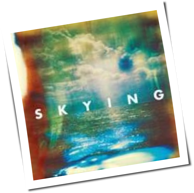 The Horrors - Skying